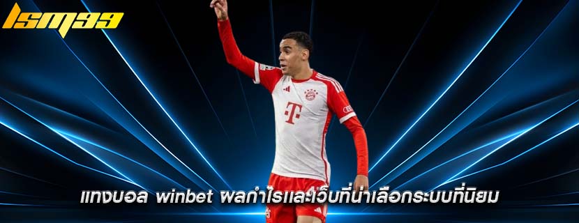 แทงบอล winbet ผลกำไรเเละเว็บที่น่าเลือกระบบที่นิยม